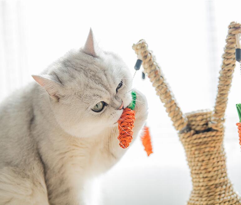 Kleiner Katzenbaum aus Sisal & Stroh – Spiel- und Kratzspaß für Katzen