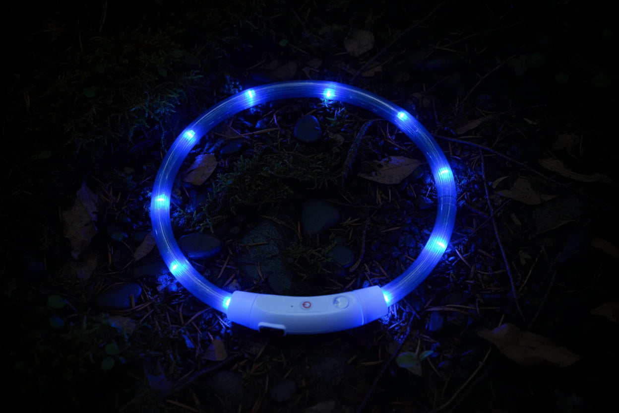 GlowGuard: Wiederaufladbares LED-Sicherheitshalsband