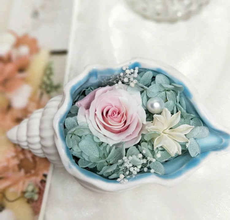 Keramik Blumentopf "Conch" – Maritime Muschel-Vase für Sukkulenten & Boho-Deko