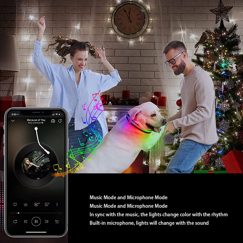 Luminous Pup – USB-aufgeladenes LED-Halsband für Hunde & Katzen