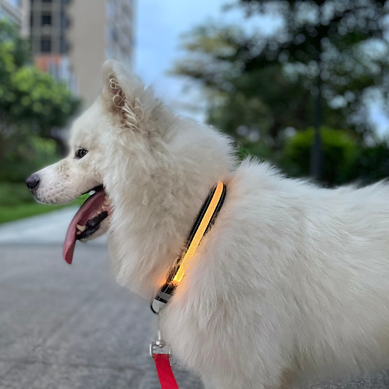 Luminous Pup – USB-aufgeladenes LED-Halsband für Hunde & Katzen