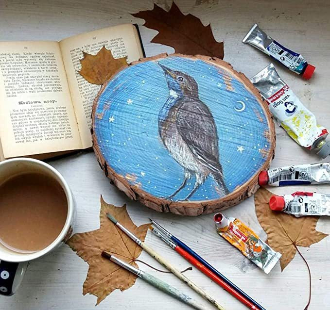 Woodland Canvas: Naturbelassene Kiefernholz-Scheiben für DIY & Deko
