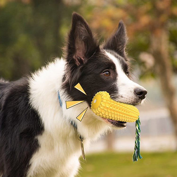 Maize Chew – Der Zahnpflege-Maiskolben für glückliche Kauer