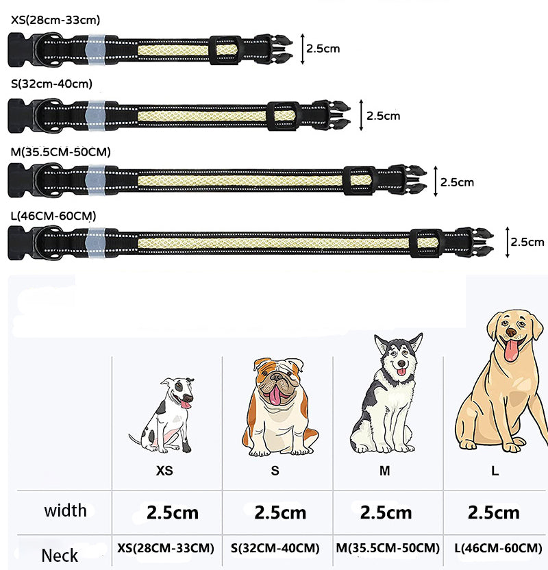Luminous Pup – USB-aufgeladenes LED-Halsband für Hunde & Katzen