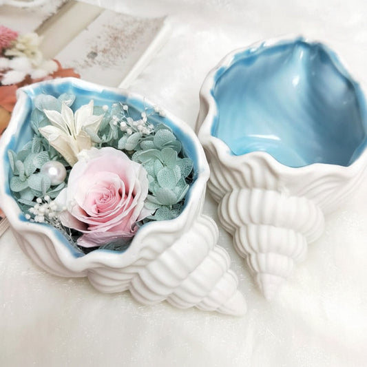 Keramik Blumentopf "Conch" – Maritime Muschel-Vase für Sukkulenten & Boho-Deko