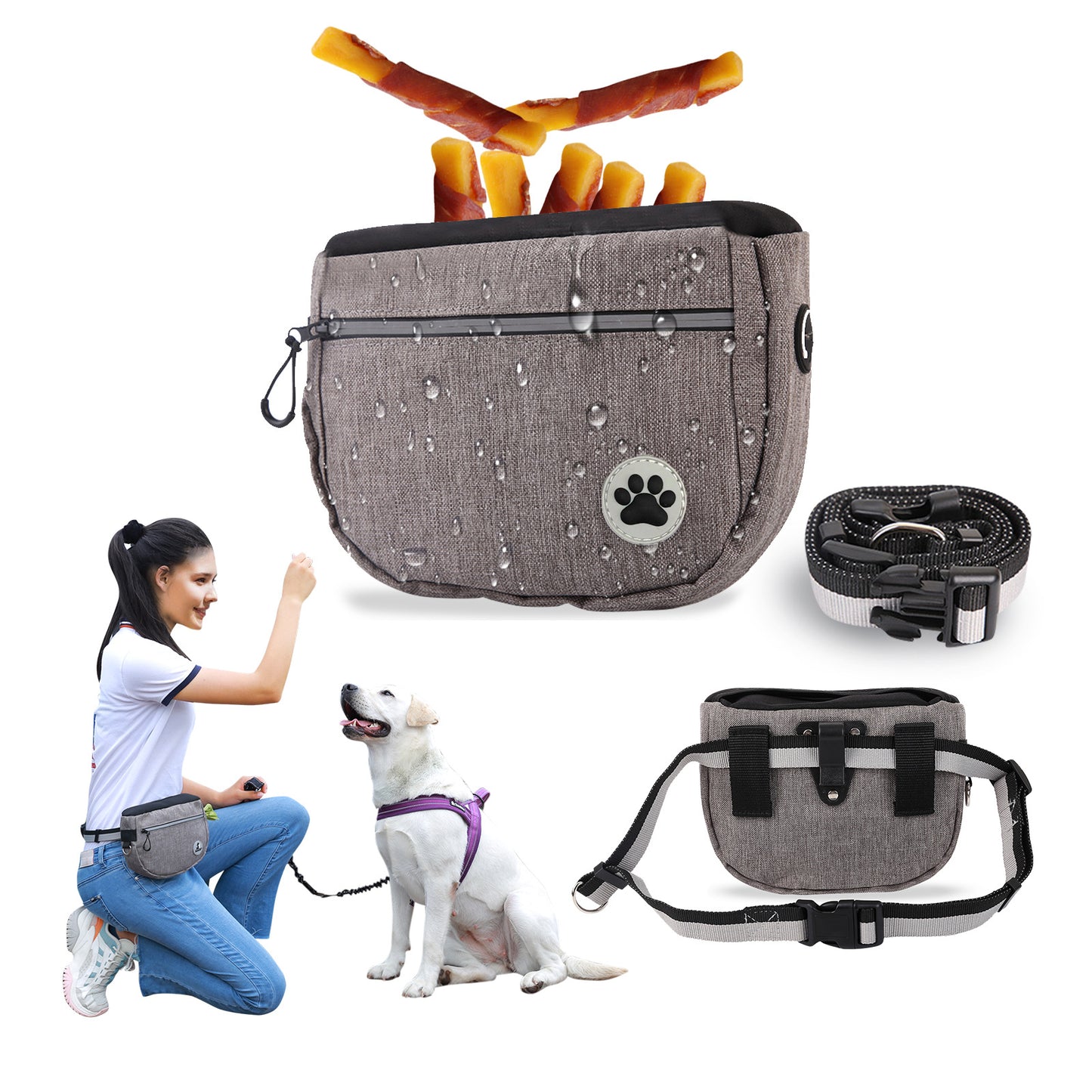 Praktische Leckerli-Tasche für entspannte Spaziergänge & erfolgreiches Hundetraining