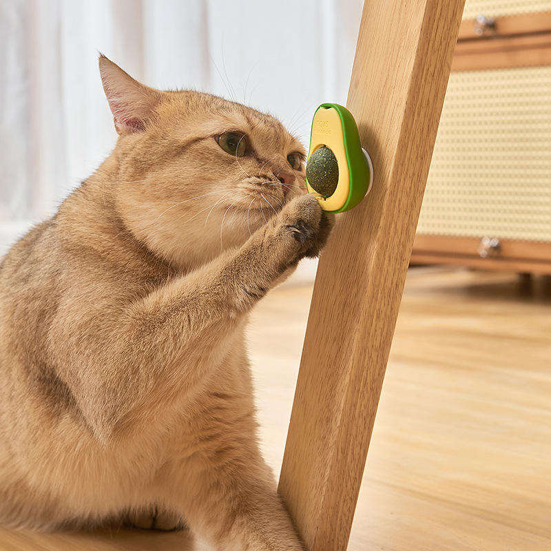 Avocado Bliss – Interaktives Katzenminze-Spielzeug