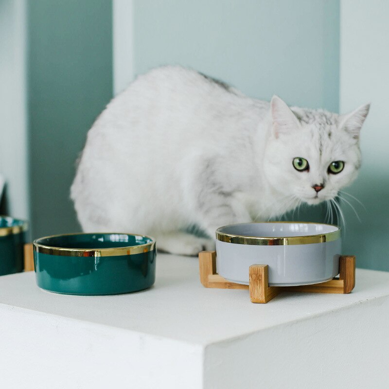 „Royal Paw“ – Eleganter Keramiknapf mit Goldakzent & Echtholz-Gestell