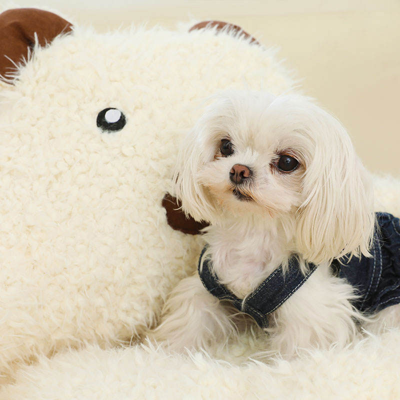 Alpaca Dreams: Flauschiges Kuschelnest im Alpaka-Look