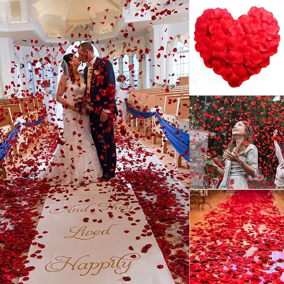 Petal Rain – 100er Set Edle Seidenrosenblätter