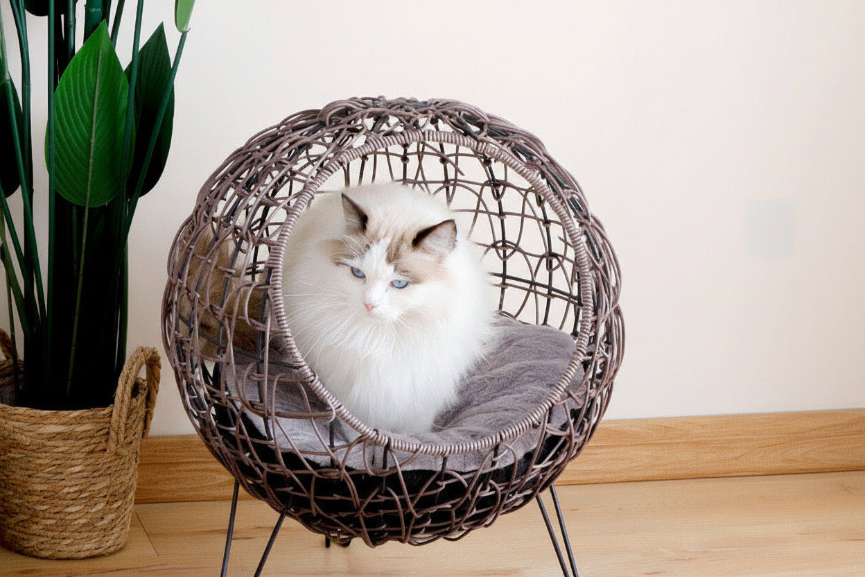 Boho-Thron „Wolkenhöhle“ – Elegantes Flecht-Nest