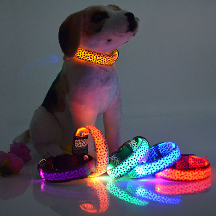 Wild Glow: LED-Sicherheitshalsband im Leopard-Design