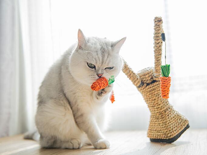 Kleiner Katzenbaum aus Sisal & Stroh – Spiel- und Kratzspaß für Katzen