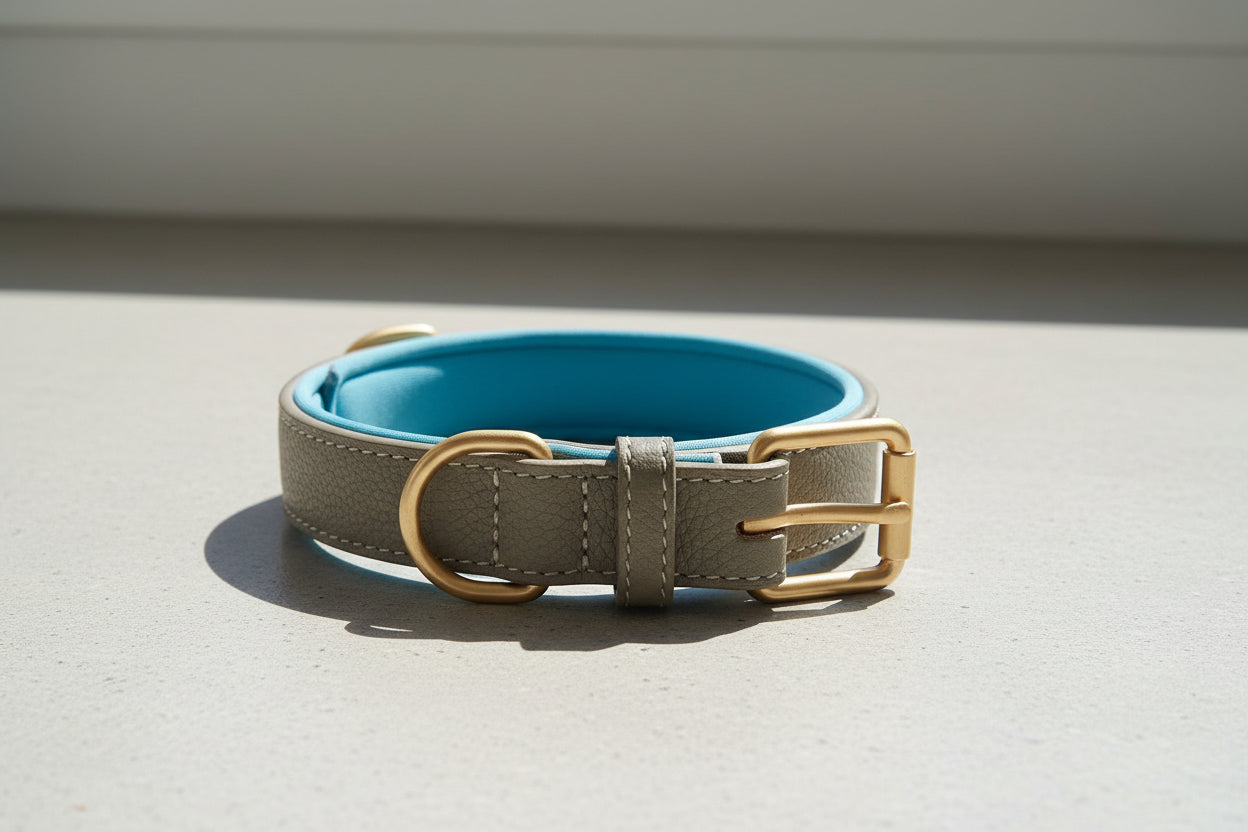 Modern Leather: Zweifarbiges Echtleder-Halsband