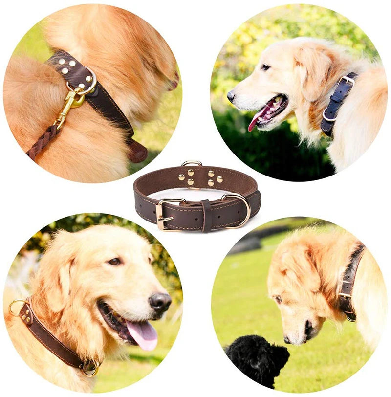 Benepaw Hundehalsband aus echtem Leder – Robustes, Vintage Halsband mit Doppel-D-Ring für mittelgroße und große Hunde