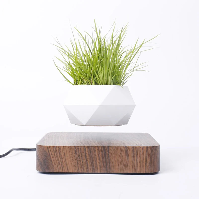 Schwebender Luft-Bonsai-Pot mit Rotationsfunktion – Magnetische Schwebepflanze für Ihr Zuhause