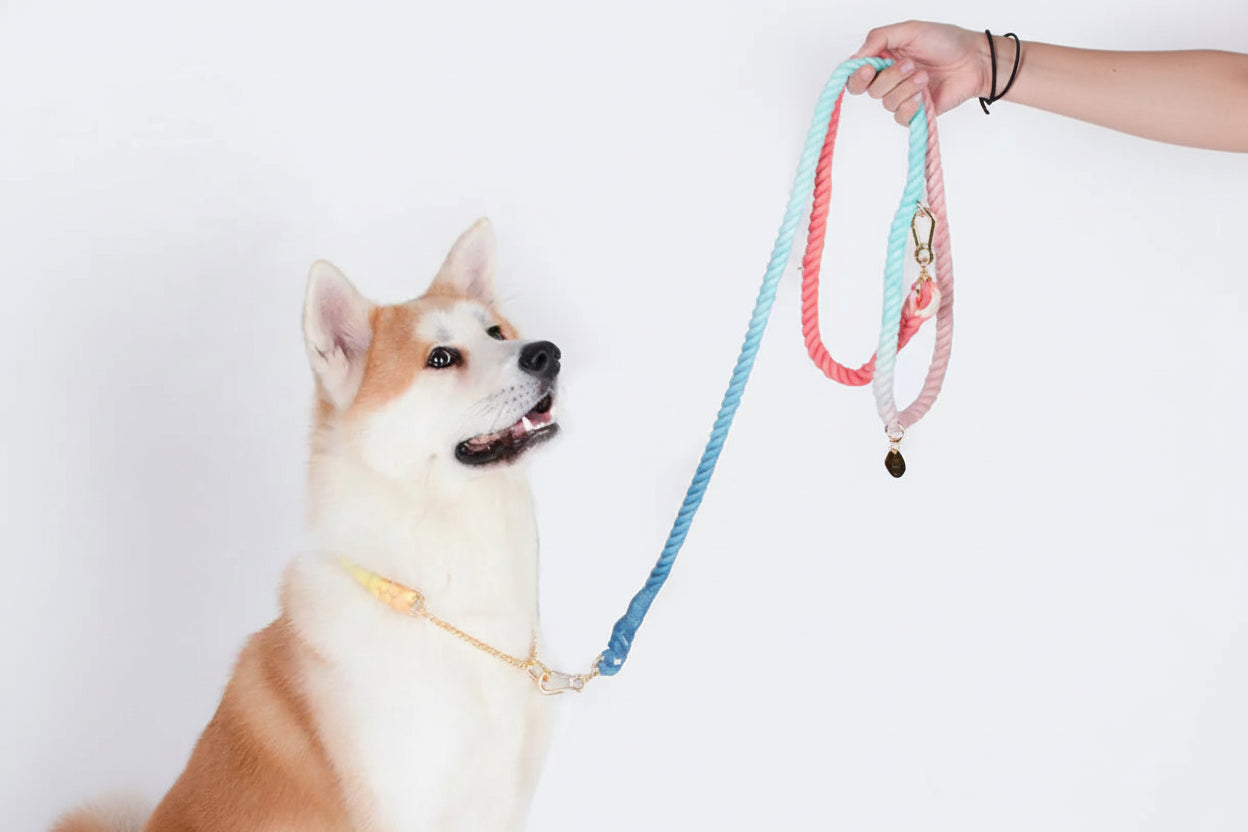 Chroma Drift – Handgeflochtenes Boho-Halsband & Abenteuerleine Set