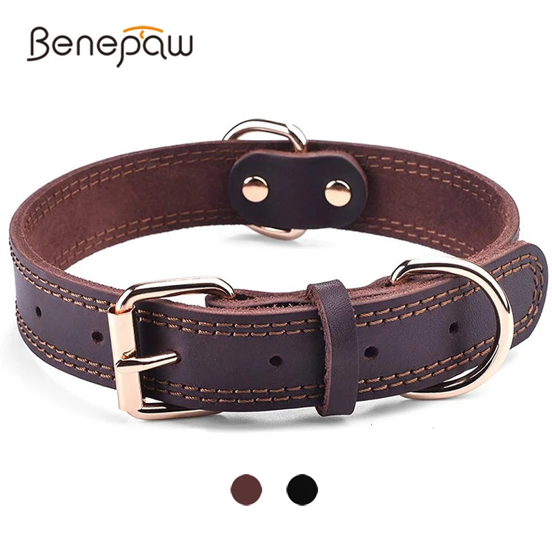 Benepaw Hundehalsband aus echtem Leder – Robustes, Vintage Halsband mit Doppel-D-Ring für mittelgroße und große Hunde