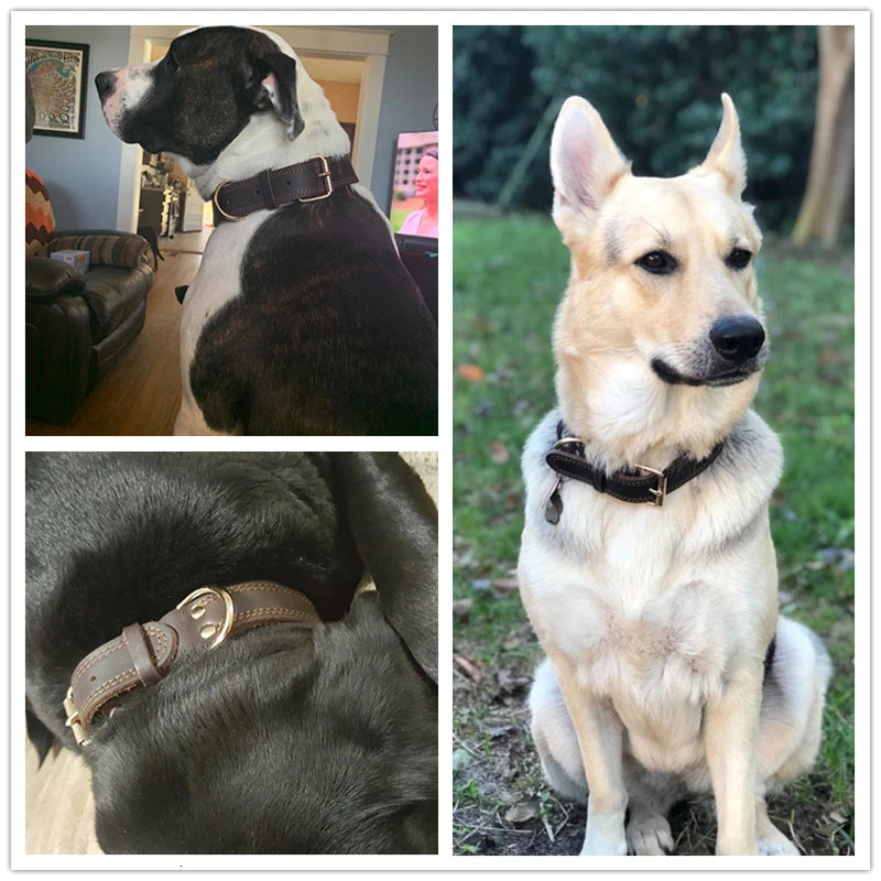 Benepaw Hundehalsband aus echtem Leder – Robustes, Vintage Halsband mit Doppel-D-Ring für mittelgroße und große Hunde