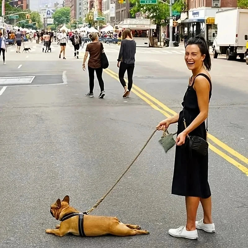 Hundesnack Tasche mit Karabiner – Hands-Free Trainings- und Futterbeutel für Hunde mit Gürteltasche