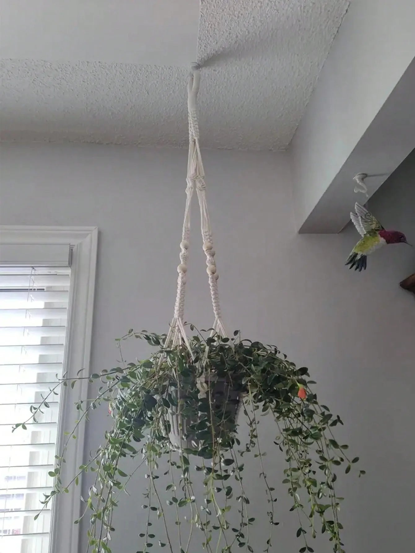 Macrame Pflanzenträger – Handgefertigt aus Baumwolle, 2-Tier/3-Tier Hängekorb für Pflanzen im Boho-Stil