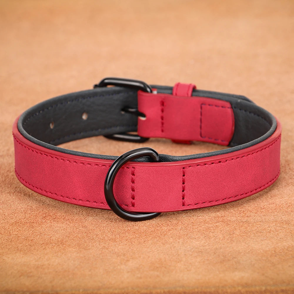 PU-Leder Hundehalsband mit Weicher Polsterung – Verstellbar für Kleine, Mittlere & Große Hunde, Ideal für Pitbull, Labrador & Pug