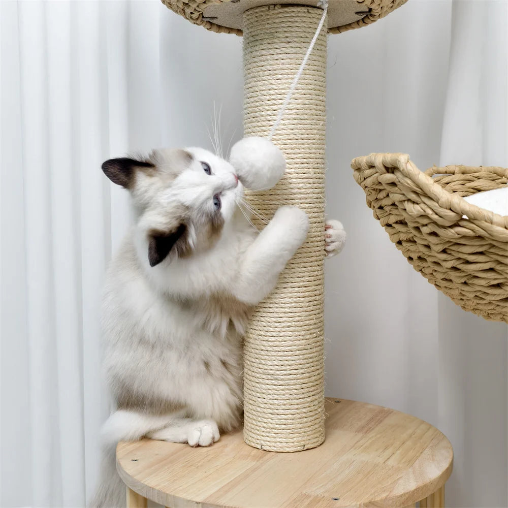 BORWART Katzenkratzbaum mit 3 Ebenen, Sisal-Kratzstangen und Kuschelbetten für Katzen bis 10 kg