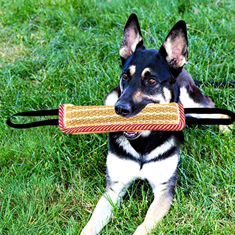 Robustes Zerrspielzeug für große Hunde – Jute Kissen mit 2 Seilgriffen für Interaktive Trainingsspiele – Ideal für Malinois, Schäferhunde und mehr