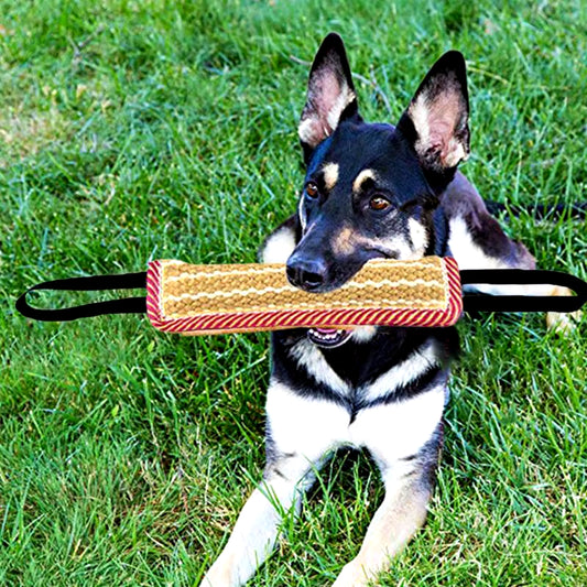 Robustes Zerrspielzeug für große Hunde – Jute Kissen mit 2 Seilgriffen für Interaktive Trainingsspiele – Ideal für Malinois, Schäferhunde und mehr